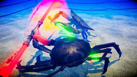 Fight Crab .